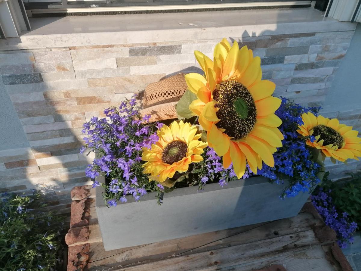 Musellaro Casa Rosa Abruzzo B&B 외부 사진